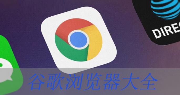 谷歌浏览器大全