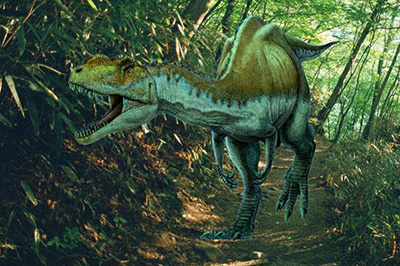 如何利用ps将图片进行背景融入