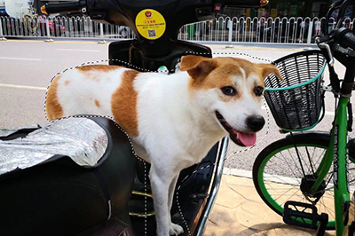 PS如何虚化背景突出人物