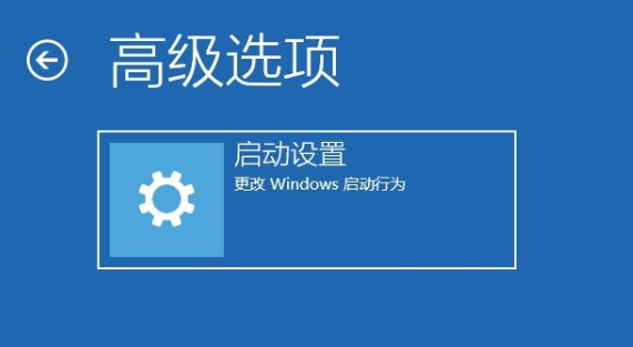 安装win10专业版2024新版