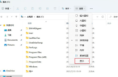 windows11怎么查看隐藏项目文件