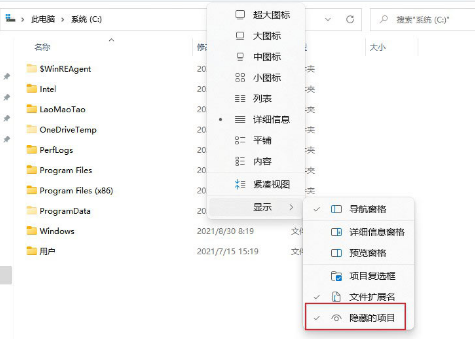 windows11怎么查看隐藏项目文件