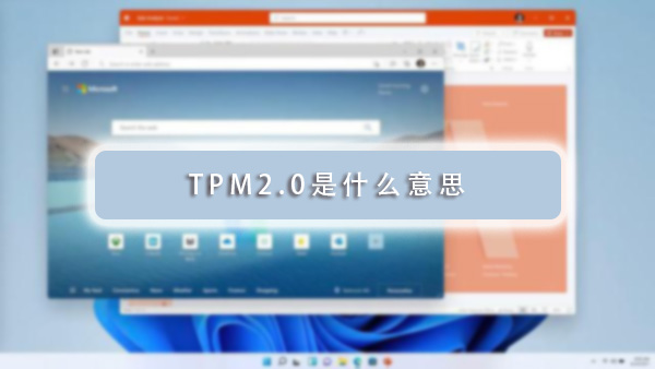 TPM2.0是什么意思