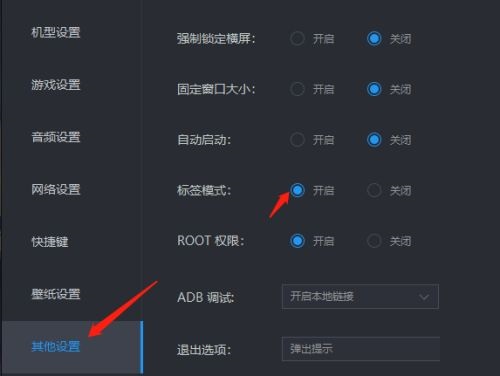 雷电模拟器怎么设置标签模式