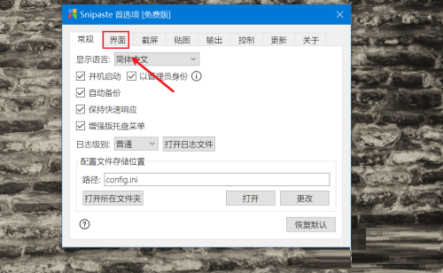 Snipaste如何设置托盘图标