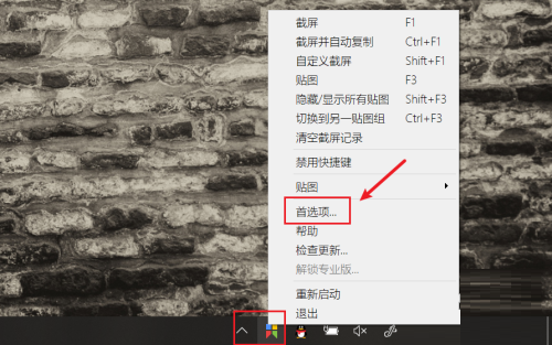 Snipaste如何设置托盘图标