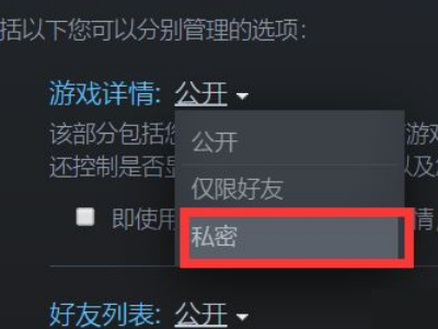 steam游戏详情怎么设置私密