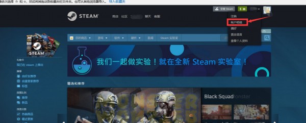 steam中文版