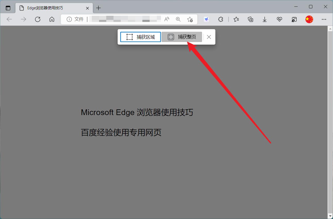 edge网页捕获怎样截长图