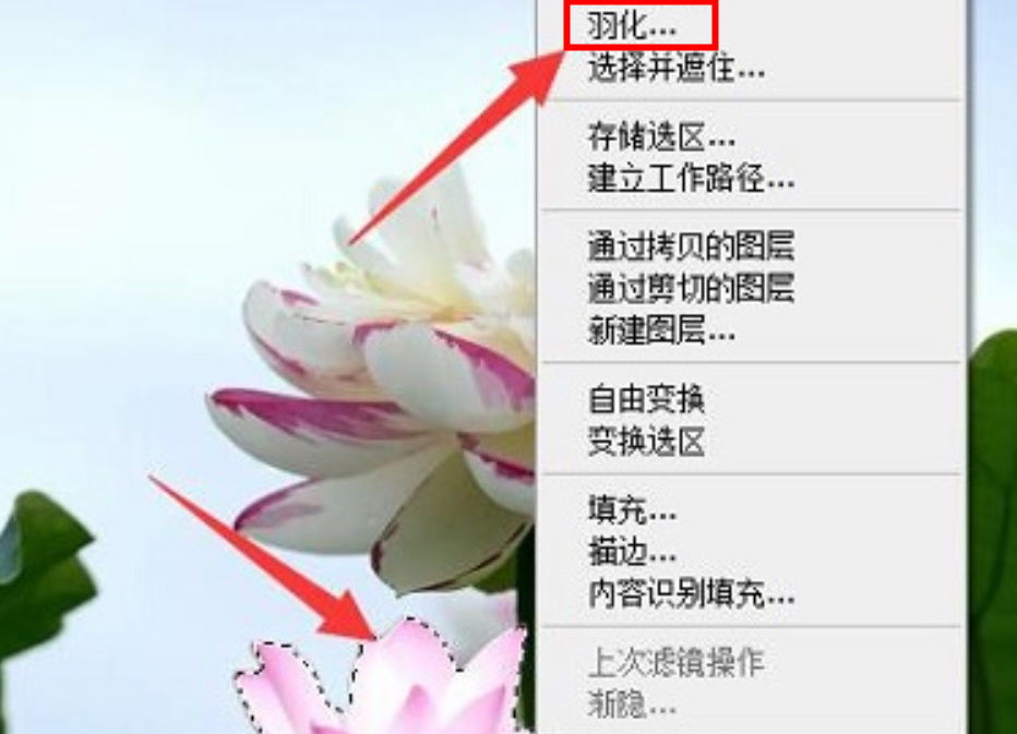 PS怎么用羽化将边缘模糊与背景融合