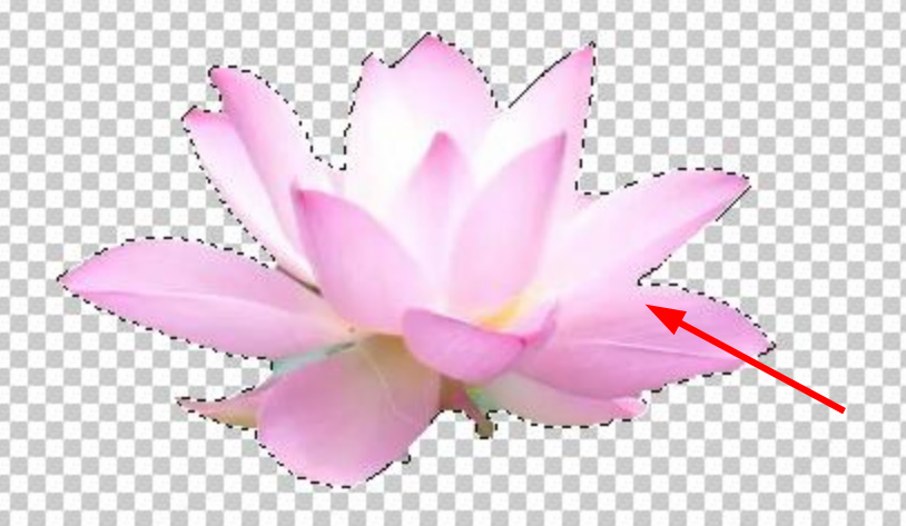 PS怎么去掉图片背景保留物体