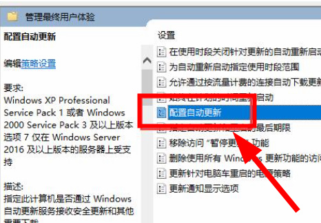 win11如何关闭系统自动更新