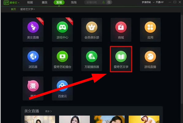 爱奇艺怎么查找小说并阅读