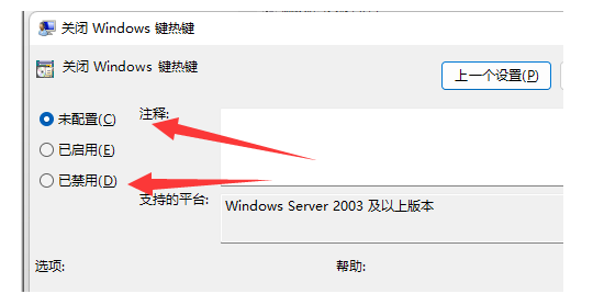 Windows11专业版2024