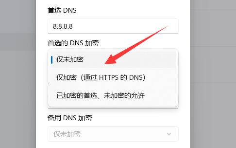 win11如何加密dns