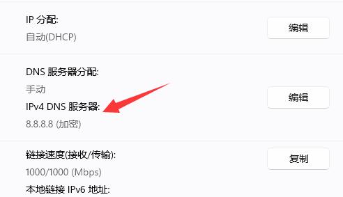 win11如何加密dns