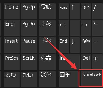 win11键盘打不了字怎么办