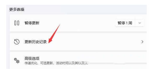 win11打开浏览器黑屏闪屏怎么办