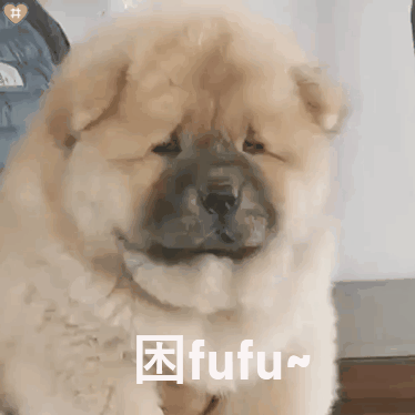 闪电GIF制作软件如何给GIF动态图添加文字内容