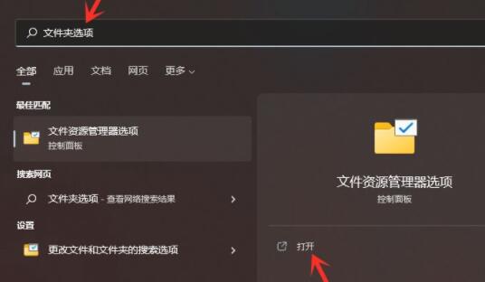 win11如何打开隐藏文件