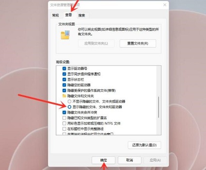 win11如何打开隐藏文件