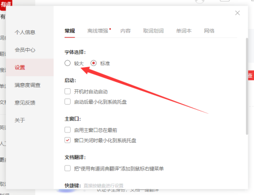 有道词典如何设置较大字体