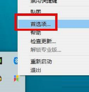 Snipaste如何开启每隔24小时检查更新