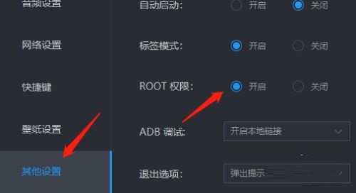 雷电模拟器如何开启ROOT权限