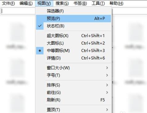 Everything如何预览文档