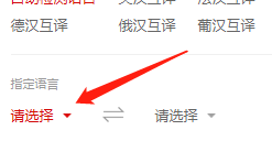 有道词典如何指定检测语言