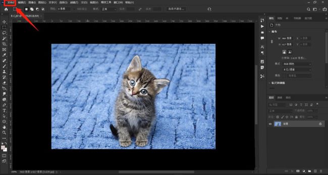 ps版权公告信息怎么写