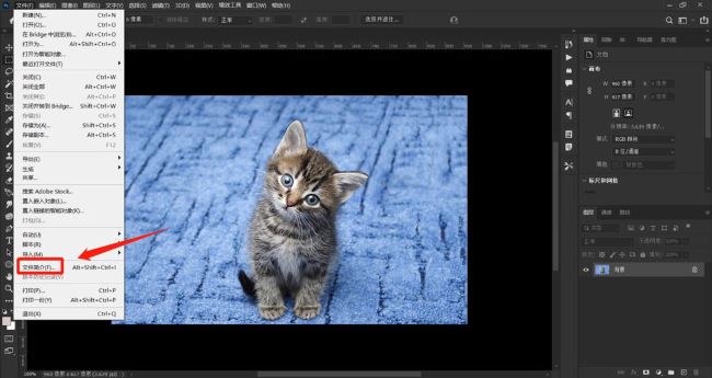 ps版权公告信息怎么写