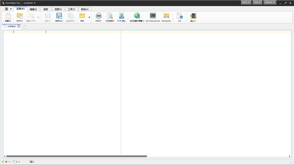 Text Editor Pro