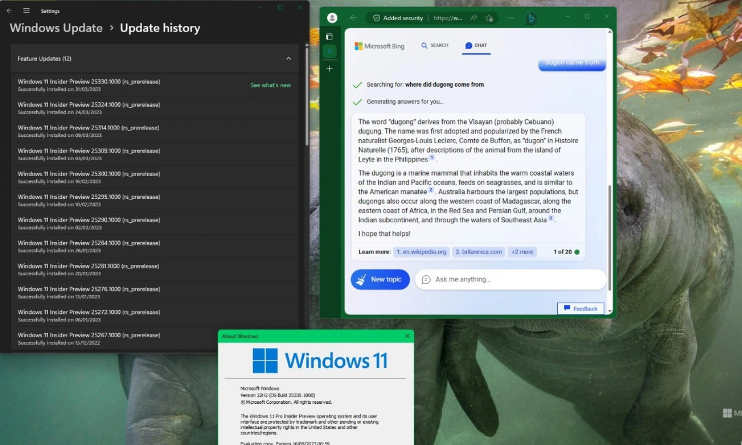 Win11 Build 25330