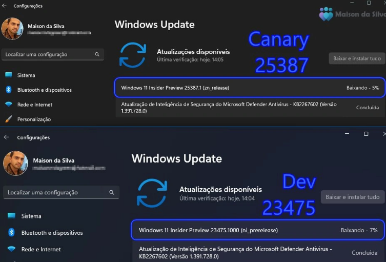 Win11 canary