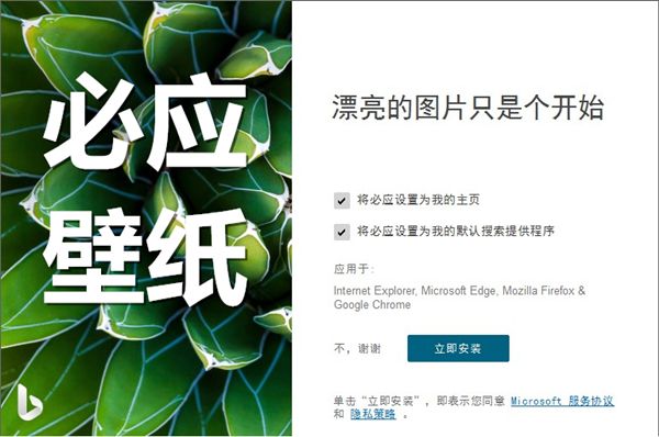 必应壁纸最新版