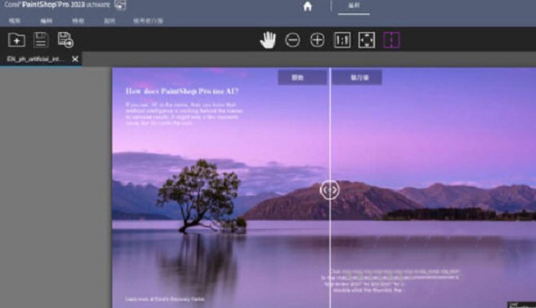 PaintShop Pro最新版