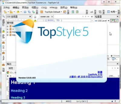 TopStyle Pro