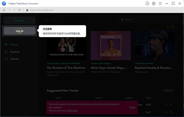 tidabie tidal music converter