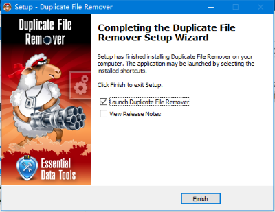 Duplicate File Remover